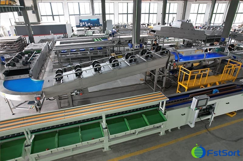 images/16866454276761 vegetable washing sorting machine.jpg